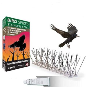 aspectek stainless steel pre-assembled bird spikes 10 feet (3 meters), bird deterrent kit with transparent silicone glue