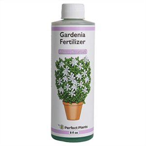 perfect plants gardenia liquid fertilizer | 8oz. tailored bloom boosting plant food | great for indoor outdoor flowering plants