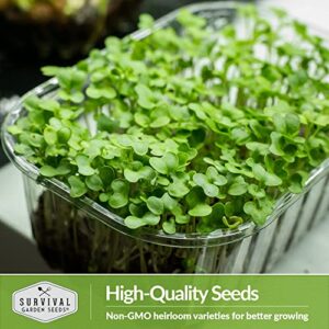 Survival Garden Seeds Broccoli Microgreens for Sprouting & Growing - 3 Seed Packs to Sprout Green Leafy Micro Vegetables - Grow Your Own Mini Windowsill Garden Indoors - Non-GMO Heirloom Variety