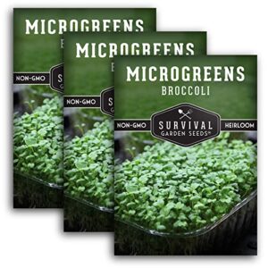 survival garden seeds broccoli microgreens for sprouting & growing – 3 seed packs to sprout green leafy micro vegetables – grow your own mini windowsill garden indoors – non-gmo heirloom variety