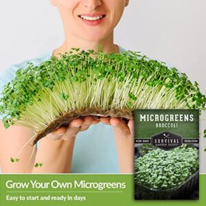 Survival Garden Seeds Broccoli Microgreens for Sprouting & Growing - 3 Seed Packs to Sprout Green Leafy Micro Vegetables - Grow Your Own Mini Windowsill Garden Indoors - Non-GMO Heirloom Variety