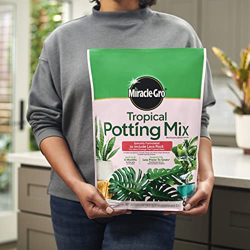 Miracle-Gro Tropical Potting Mix, 6 qt. - Growing Media for Tropical Plants Living in Indoor and Outdoor Containers