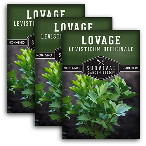 Survival Garden Seeds - Lovage Seed for Planting - 3 Packs with Instructions to Plant and Grow Perennial Levisticum Officinale Culinary Herb in Your Home Vegetable Garden - Non-GMO Heirloom Variety