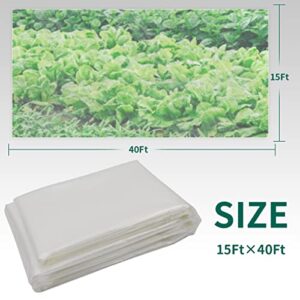 Storystore 2.5 Mil Greenhouse Plastic Film, UV Resistant Polyethylene Film, Green House Hoop Supply Plant Cover Sheeting for Agriculture, Garden (15' x 40')