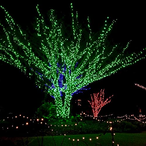 WATERGLIDE 1 Pack St. Patricks Day Shamrocks Lights, 50 LED Outdoor Decorative String Lights, Battery Operated Lucky Clover Light, 8 Lighting Modes & Timer, Waterproof for Party Garden Home Decor