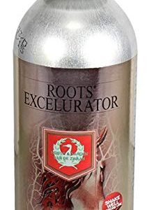 House & Garden ''Silver'' Root Excelurator 500ml