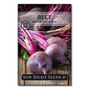 sow right seeds – detroit dark red beet seed for planting – non-gmo heirloom packet with instructions to plant a home vegetable garden – great gardening gift (1)