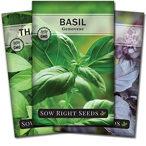 Sow Right Seeds - Basil Seed Collection to Plant - Genovese Sweet Basil, Thai Basil, Opal Basil, Non-GMO Heirloom Seeds - Instructions for Planting Indoors or Outdoor; Great Gardening Gift