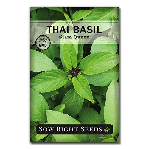 Sow Right Seeds - Basil Seed Collection to Plant - Genovese Sweet Basil, Thai Basil, Opal Basil, Non-GMO Heirloom Seeds - Instructions for Planting Indoors or Outdoor; Great Gardening Gift