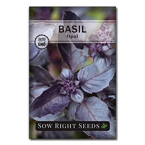 Sow Right Seeds - Basil Seed Collection to Plant - Genovese Sweet Basil, Thai Basil, Opal Basil, Non-GMO Heirloom Seeds - Instructions for Planting Indoors or Outdoor; Great Gardening Gift