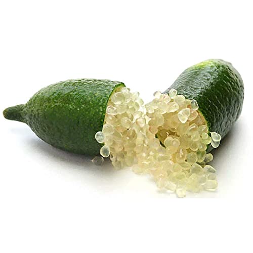 YEGAOL Garden 20Pcs Finger Lime Seeds Non-GMO Evergreen Spreading Perennial Low Maintenance Cooking Garden Plant Fruit Seeds