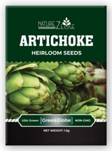 artichoke seeds for planting, 35 green globe artichoke seeds, high germination rates, heirloom, non-gmo
