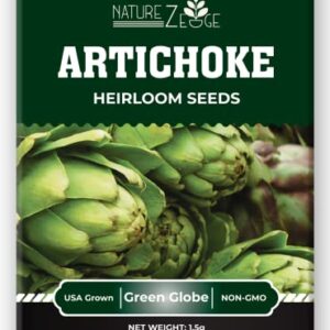 Artichoke Seeds for Planting, 35 Green Globe Artichoke Seeds, High Germination Rates, Heirloom, Non-GMO