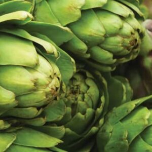 Artichoke Seeds for Planting, 35 Green Globe Artichoke Seeds, High Germination Rates, Heirloom, Non-GMO