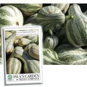 green striped cushaw pumpkin seeds, (crookneck winter squash) 25 heirloom seeds per packet, non gmo seeds, botanical name: cucurbita argyrosperma, isla’s garden seeds