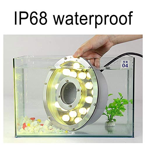 LED Ring Fountain Light, Submersible Underwater Landscape Spotlight Middle Hole 12V/24V IP68 for Garden Fountain Pool (Color : Cold White, Size : 6W(12V))