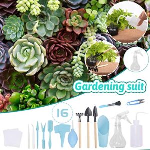 Snow Shovels - Gardening Succulent Set Tools Rake Piece Garden 16 Fork Shovel Patio & Garden