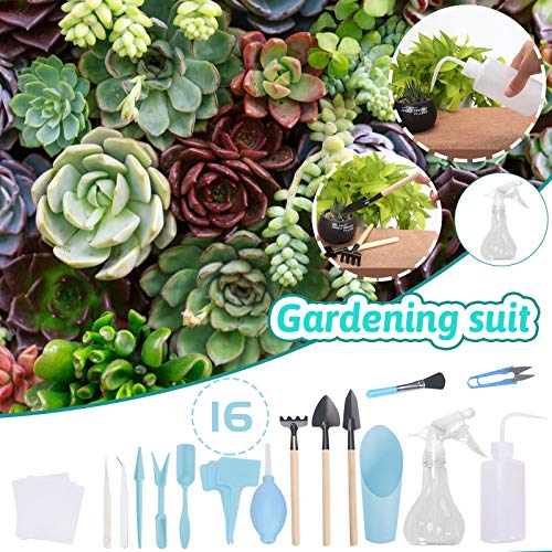 Snow Shovels - Gardening Succulent Set Tools Rake Piece Garden 16 Fork Shovel Patio & Garden