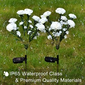 Solar Flower Lights Outdoor, 2 Pack Carnation Solar Garden Lights 49-LED, Waterproof Landscape Stake Lights, Used for Garden Courtyard Path Wedding Christmas and Mother's Day Decoration (White)