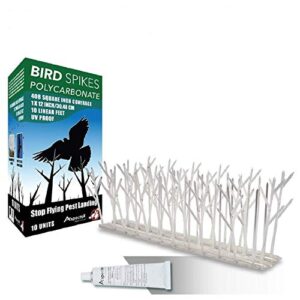 aspectek plastic polycarbonate bird spikes kit with adhesive glue, covers 10 feet