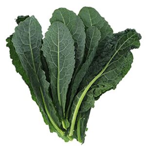 Lacinato Kale Seeds (Brassica oleracea VAR. palmifolia), 1 Gram Seeds for Planting, Non-GMO, Heirloom Gardening & Microgreens - Aka Dinosaur Kale, Lacinato Italian Tuscan Kale Garden.