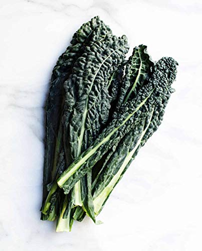 Lacinato Kale Seeds (Brassica oleracea VAR. palmifolia), 1 Gram Seeds for Planting, Non-GMO, Heirloom Gardening & Microgreens - Aka Dinosaur Kale, Lacinato Italian Tuscan Kale Garden.