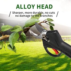 Cordless Electric Pruning Shears, Tree Branch Pruner with 2 PCS Rechargeable 2 Ah Lithium Battery - 30mm (1.2inch) Cutting Diameter