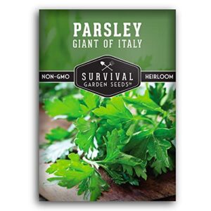 survival garden seeds – giant of italy parsley seed for planting – packet with instructions to plant and grow italian flat leaf parsley herbs in your home vegetable garden – non-gmo heirloom variety