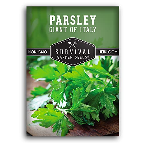 Survival Garden Seeds - Giant of Italy Parsley Seed for Planting - Packet with Instructions to Plant and Grow Italian Flat Leaf Parsley Herbs in Your Home Vegetable Garden - Non-GMO Heirloom Variety