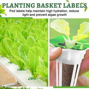 Potchen 400 Pcs Hydroponic Growing Kit Include Replacement Grow Baskets Plant Sponges Labels Stickers Clear Lids, Germination Compatible with System (Flower Style)