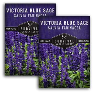 Survival Garden Seeds - Victoria Blue Sage Seed for Planting - 2 Packs with Instructions to Plant and Grow Mealycup Sage or Salvia Farinacea in Your Home Vegetable Garden - Non-GMO Heirloom Variety