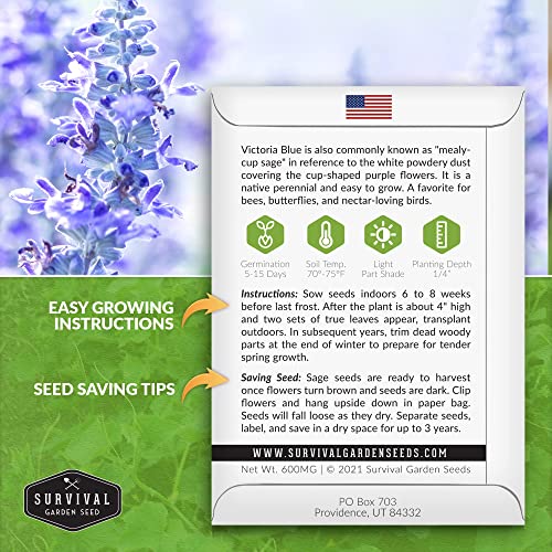 Survival Garden Seeds - Victoria Blue Sage Seed for Planting - 2 Packs with Instructions to Plant and Grow Mealycup Sage or Salvia Farinacea in Your Home Vegetable Garden - Non-GMO Heirloom Variety