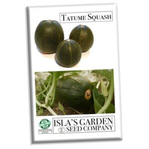 tatume squash seeds for planting, 30+ heirloom seeds per packet, (isla’s garden seeds), non gmo seeds, botanical name: cucurbita pepo