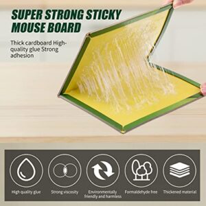 25 Pcs Mouse Traps Mouse Glue Traps with Enhanced Stickiness Sticky Traps for Mice and Rats Sticky Pads Mouse Glue Boards Pest Control Traps for House Indoor Outdoor Easy to Set (10.4'' x 7.4'')