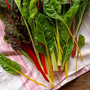 The Old Farmer's Almanac Heirloom Swiss Chard Seeds (Rainbow Mixture) - Approx 120 Seeds - Non-GMO, Open Pollinated, USA Origin