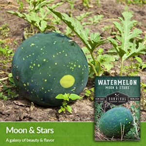 Survival Garden Seeds - Moon & Stars Watermelon Seed for Planting - Packet with Instructions to Plant and Grow Melons in Your Home Vegetable Garden - Rare Super Sweet Non-GMO Heirloom Variety