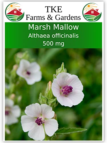 TKE Farms - Marshmallow Seeds for Planting, 500 mg ~ 250 Seeds, Althaea officinalis