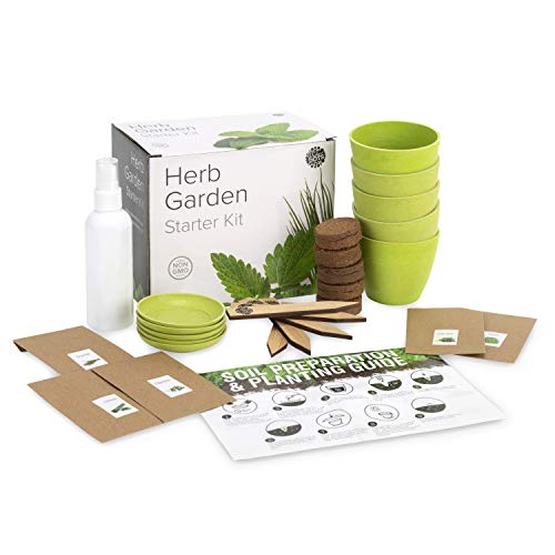 Waste Not Dots Herb Garden Starter Kit - Grow Your Own Herbs - Great Gift - Fresh Kitchen Herbs - Mint, Basil, Cilantro, Parsley, Chives, Pots, and Plant Markers - Housewarming Gift