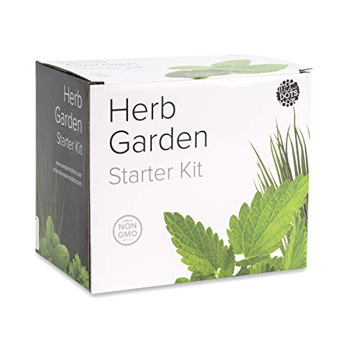 Waste Not Dots Herb Garden Starter Kit - Grow Your Own Herbs - Great Gift - Fresh Kitchen Herbs - Mint, Basil, Cilantro, Parsley, Chives, Pots, and Plant Markers - Housewarming Gift