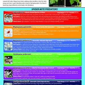 2,000 Live Adult Predatory Mites - A Mix of Predatory Mite Speciesl - Ships Next Business Day!l