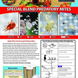 2,000 Live Adult Predatory Mites - A Mix of Predatory Mite Speciesl - Ships Next Business Day!l