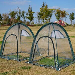 pop up greenhouse pack of 2 mini flower house backard garden plant cover for cold forst protection pvc sunshine room with stakes and carrybag (28x28x32inch)
