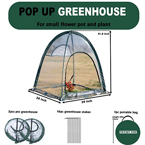 Pop Up Greenhouse Pack of 2 Mini Flower House Backard Garden Plant Cover for Cold Forst Protection PVC Sunshine Room with Stakes and Carrybag (28x28x32inch)