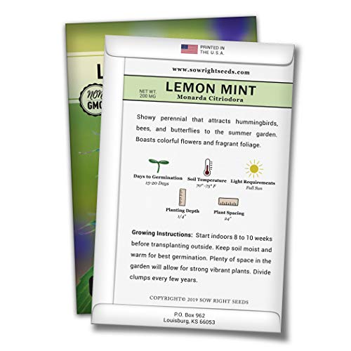 Sow Right Seeds - Lemon Mint Seed for Planting - Non-GMO Heirloom Seeds - Large Packet with Instructions to Plant and Grow an Herbal Tea Garden, Indoors or Outdoor; Great Gardening Gift