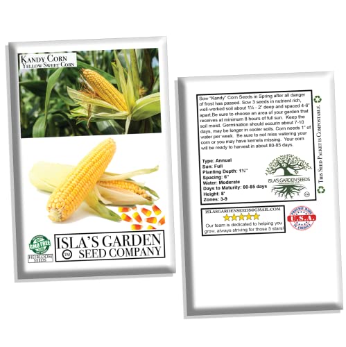 "Kandy Corn" Sweet Corn Seeds, 25 Heirloom Seeds Per Packet, (Isla's Garden Seeds), Non GMO Seeds, Botanical Name: Zea mays