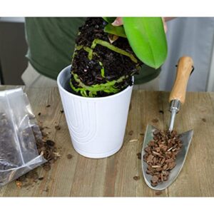 Houseplant Mulch - Small bark Wood Chips for Indoor, Patio, Potting Media, and Much More! (8QTs)