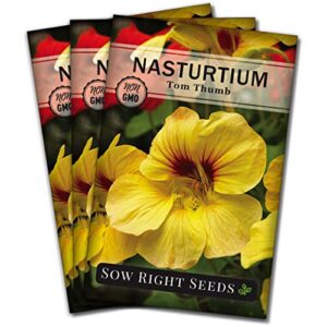 Sow Right Seeds - Tom Thumb Nasturtium Seeds to Plant - Full Instructions for Planting and Growing a Beautiful Flower Garden; Non-GMO Heirloom Seeds; Wonderful Gardening Gift (3)