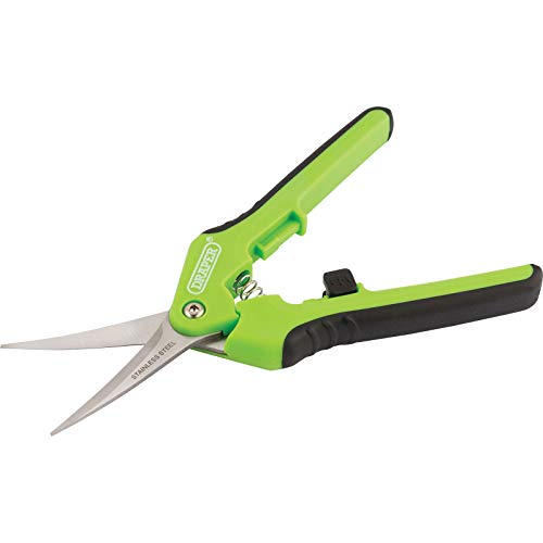 Draper 73729 165 mm Soft-Grip Precision Curved Pruning SecateursDraper 73729 165 mm Soft-Grip Precision Curved Pruning Secateurs