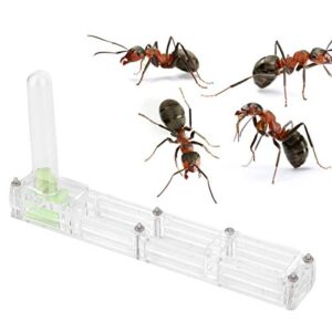 acrylic ant farm, ant breeding box, durable easy to install with water tower moisturizing for ant for insect garden school household(transparent nest)
