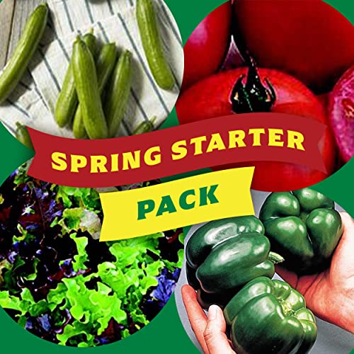 Seeds N Such 1310 Hand Selected Spring Vegetable Garden Seeds | Includes 5 Individually Packaged Seeds Tomatoes, Blue Beans, Cucumbers, Lettuce & Peppers | Untreated & Non-GMO